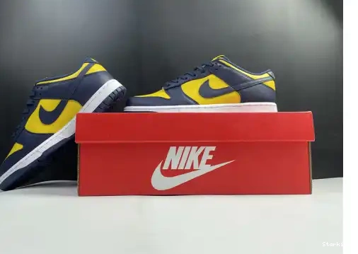 Michigan Nike Dunk DD1391-700 Low 0504